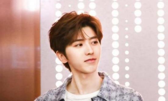 明星姓苏,璀璨星河中的璀璨星辰