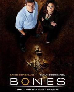 识骨寻踪在线观看