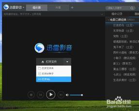 AV偶像 迅雷链接,迅雷链接背后的故事与魅力