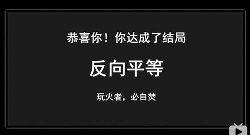 关于平等的视频,探索社会公正与和谐共生的视频解读