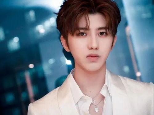 吧明星,揭秘娱乐圈璀璨明星背后的故事