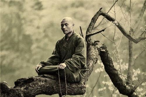 和尚之夜免费观看,免费解锁神秘奇幻之旅