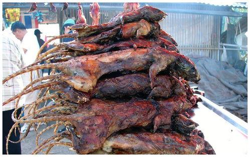 爆料碳烤大鹅视频播放,视频播放引爆味蕾狂欢