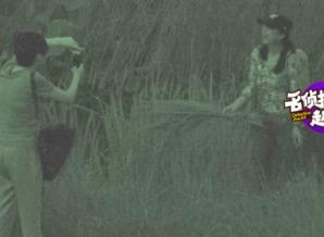 黄绮珊和老公张鹰和好,夫妻情深再续前缘”