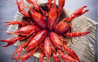 呆雨爆料小龙虾视频大全,小龙虾视频大全大放送！